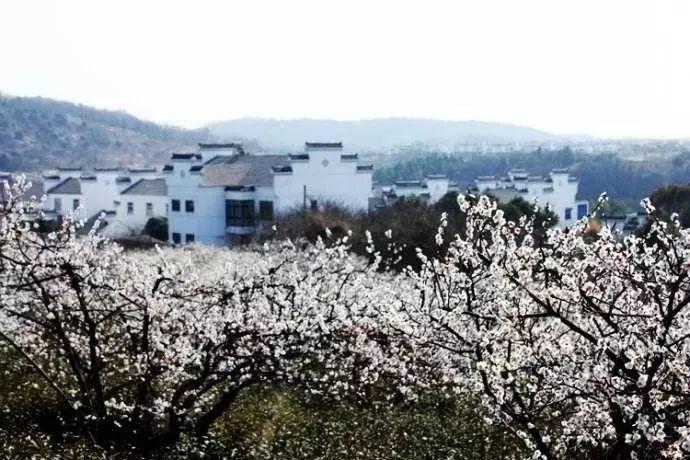 河南新县:舂锤声响 “年味”飘香